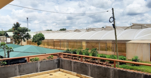 Investment advisory services in building a pipeline for an agribusiness