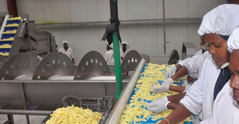 Vetting of food processing