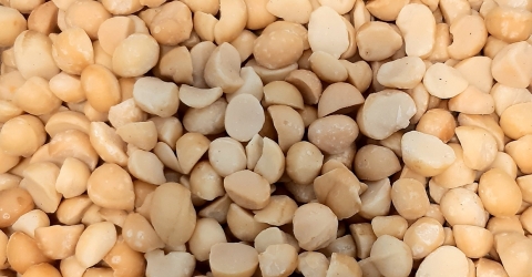 macadamia agribusiness