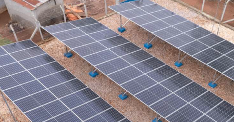 Heifer Solar Project