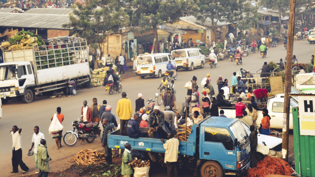 Agribusiness & Food Systems