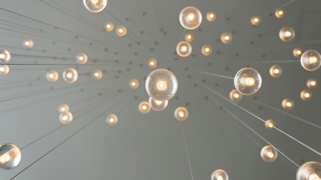 Ecosystem development