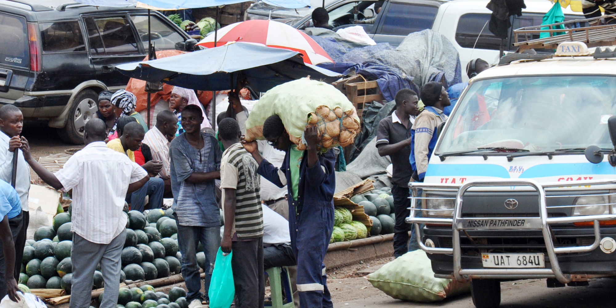 Agribusiness and food system