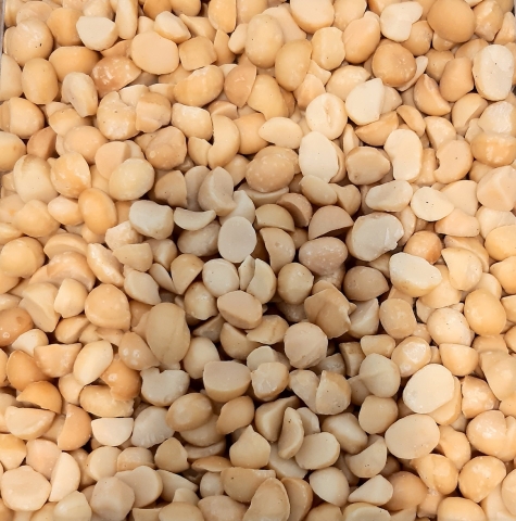 macadamia agribusiness