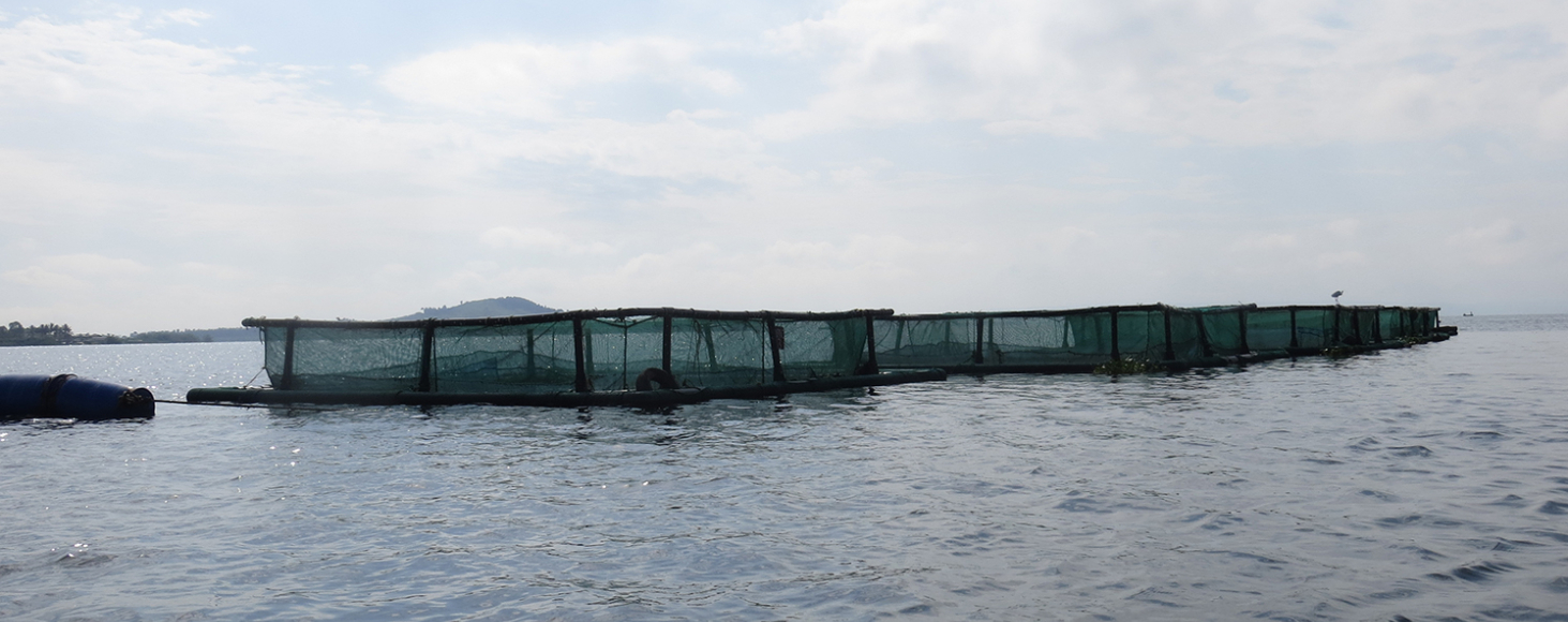 aquaculture program