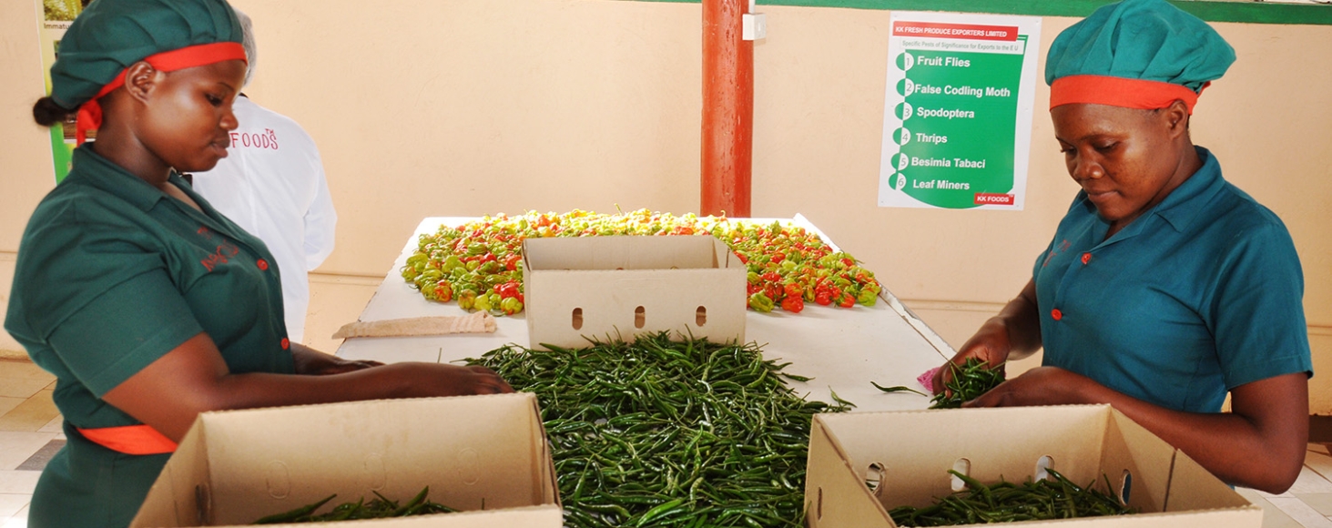 Food Processing