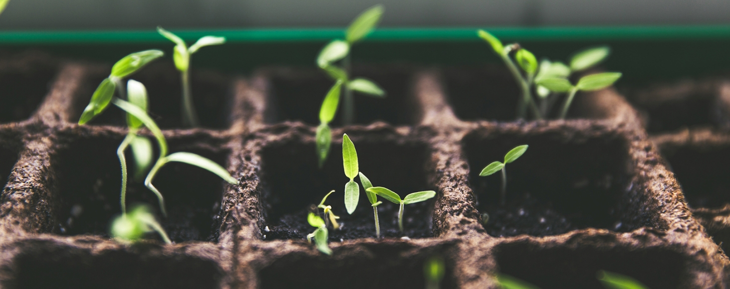 Catalytic Fund Management