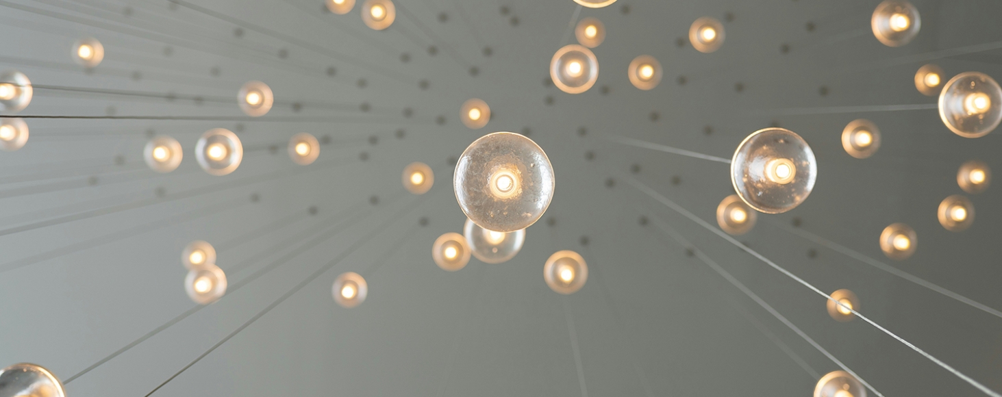 Ecosystem development